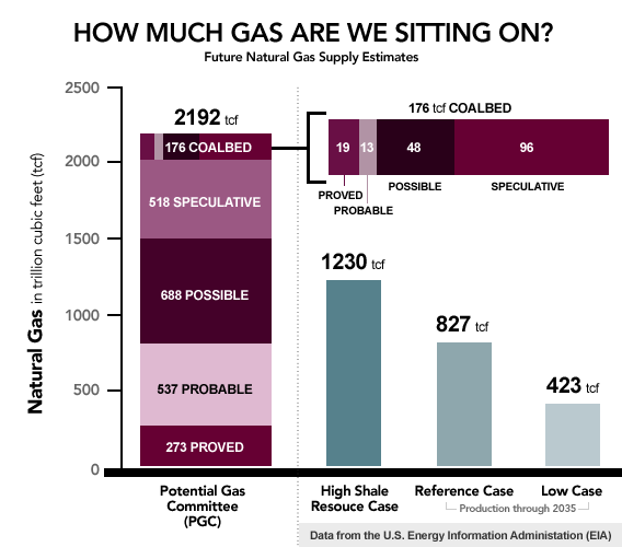 Future Gas Supply Future Gas Supply