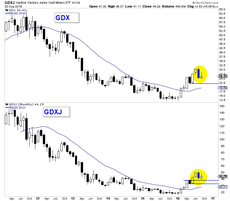 GDX:GDXJ Monthly 2011-2016 GDX:GDXJ Monthly 2011-2016
